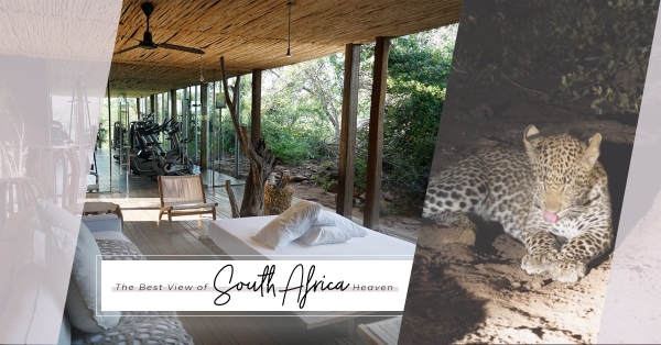 Wild Vacation：南非动物天堂酒店推介，享受野生百态的最佳角度 | 经济通 ET Net 财经生活网