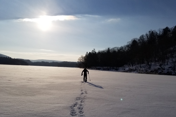 Private Tour, Japan, Hokkaido, Luxury Travel, Winter, Drift Ice, Cranes, Foxes