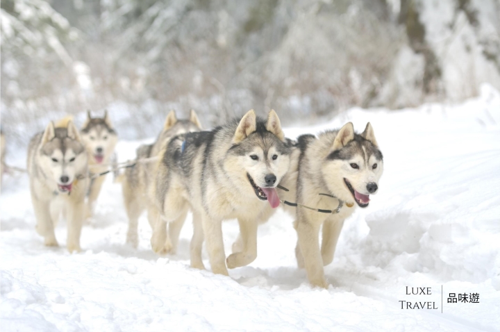 East Hokkaido Japan 日本道東  (flight ∙ hotel ∙ package ∙ cruise ∙ private tour ∙ business ∙ M.I.C.E ∙ Luxe Travel ∙ Luxury travel  ∙ Luxury holiday  ∙ Luxe Tour ∙  private tour  ∙ hyatt prive ∙ park hyatt ∙ tailor made travel ∙ tailor made trips ∙ luxury cruises  ∙ luxury travel agency hong kong  ∙ six senses ∙ aman ∙ silverseas ∙ oceania cruises  ∙包團 ∙  旅遊 ∙ 郵輪∙自由行套票∙滑雪∙溫泉∙日本自由行 ∙ 品味遊 ∙ 度身訂造 ∙ 私人定制 ∙ 高端旅游∙ 非洲動物大遷徙 ∙ 銀海郵輪 ∙ 安 縵∙ 豪華旅行 團∙ 六善 ∙ 奢華旅遊)