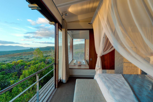 South Africa, Grootbos Private Nature Reserve, Belmond Mount Nelson Hotel, wildlife, Cape Town