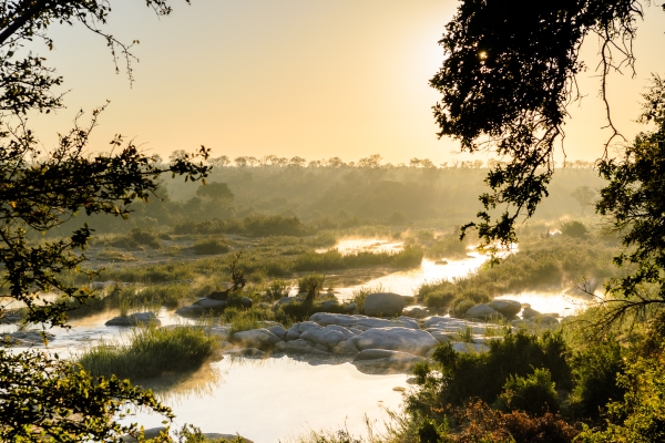 Singita Boulders Lodge, South Africa, Sabi Sand, game reserve, game drive