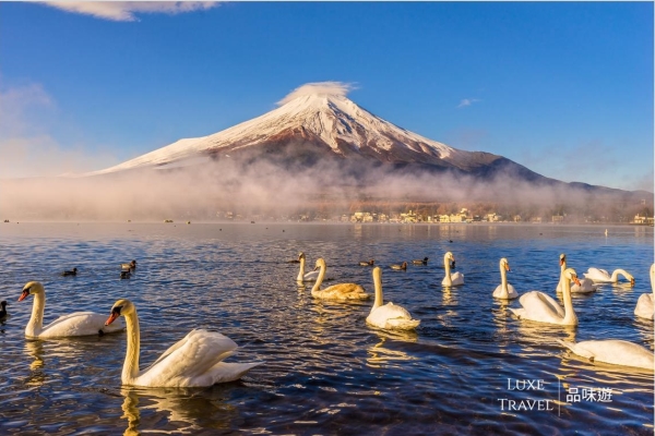 Kanto, Japan, Sakura, Mount Fuji, Hakone, Shuzennji,Atami, Shimoda, Kawazu, Private Tour, Luxe Travel 