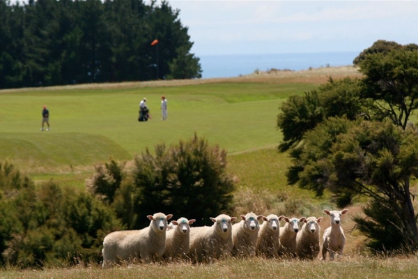 Luxe New Zealand Semi Private Tour 深度紐西蘭 • 半私人包團 - 南北島