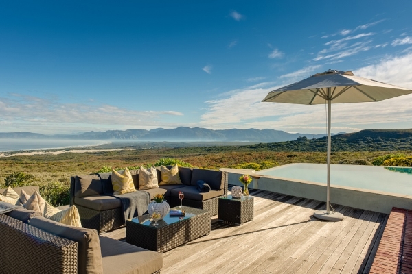 南非,开普敦,Grootbos Private Nature Reserve,纳尔逊山酒店, 野生动物, Belmond Mount Nelson Hotel