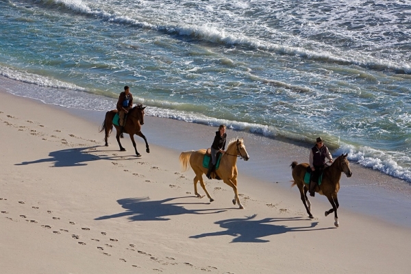 South Africa, Grootbos Private Nature Reserve, Belmond Mount Nelson Hotel, wildlife, Cape Town