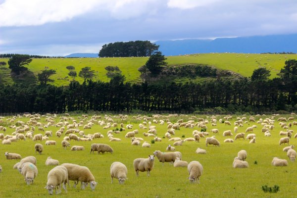 Wharekauhau Country Estate Wairarapa New Zealand 紐西蘭(flight ∙ hotel ∙ package ∙ cruise ∙ private tour ∙ business ∙ M.I.C.E ∙ Luxe Travel ∙ Luxury travel  ∙ Luxury holiday  ∙ Luxe Tour  ∙ 特色尊貴包團 ∙  商務旅遊 ∙  自由行套票 ∙滑雪  ∙ 溫泉 ∙ 品味假期 ∙ 品味遊)