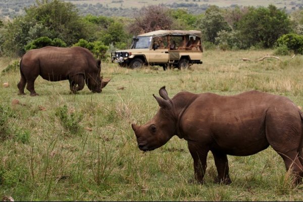 Fairmont Mara Safari Club Maasai Mara Kenya 非洲肯亞  (flight ∙ hotel ∙ package ∙ cruise ∙ private tour ∙ business ∙ M.I.C.E ∙ Luxe Travel ∙ Luxury travel  ∙ Luxury holiday  ∙ Luxe Tour  ∙ 特色尊貴包團 ∙  商務旅遊 ∙  自由行套票 ∙滑雪  ∙ 溫泉 ∙ 品味假期 ∙ 品味遊)