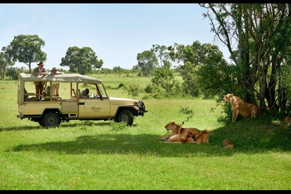 Fairmont Mara Safari Club Maasai Mara Kenya 非洲肯亞  (flight ∙ hotel ∙ package ∙ cruise ∙ private tour ∙ business ∙ M.I.C.E ∙ Luxe Travel ∙ Luxury travel  ∙ Luxury holiday  ∙ Luxe Tour  ∙ 特色尊貴包團 ∙  商務旅遊 ∙  自由行套票 ∙滑雪  ∙ 溫泉 ∙ 品味假期 ∙ 品味遊)