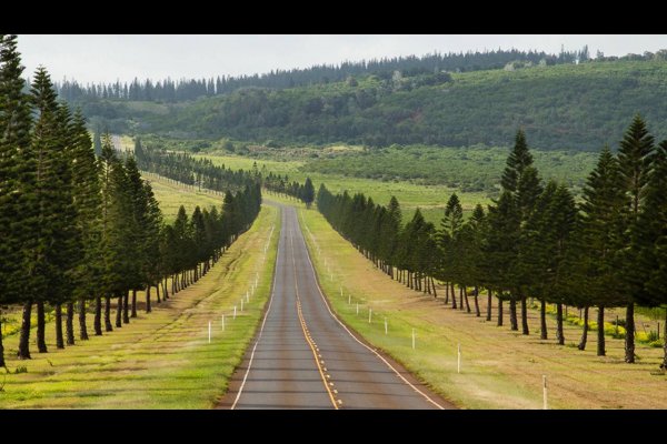 Four Seasons Resort Lana’i Hawaii USA美國夏威夷 夏蕙姨去夏威夷(flight ∙ hotel ∙ package ∙ cruise ∙ private tour ∙ business ∙ M.I.C.E ∙ Luxe Travel ∙ Luxury travel  ∙ Luxury holiday  ∙ Luxe Tour  ∙ 特色尊貴包團 ∙  商務旅遊 ∙  自由行套票 ∙滑雪  ∙ 溫泉 ∙ 品味假期 ∙ 品味遊)