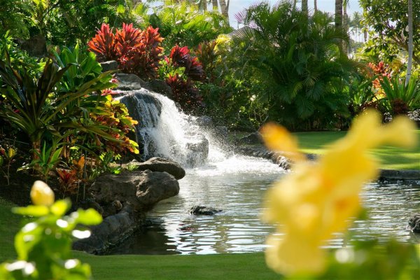 Fairmont Orchid Hawaii USA美國夏威夷 夏蕙姨去夏威夷(flight ∙ hotel ∙ package ∙ cruise ∙ private tour ∙ business ∙ M.I.C.E ∙ Luxe Travel ∙ Luxury travel  ∙ Luxury holiday  ∙ Luxe Tour  ∙ 特色尊貴包團 ∙  商務旅遊 ∙  自由行套票 ∙滑雪  ∙ 溫泉 ∙ 品味假期 ∙ 品味遊)