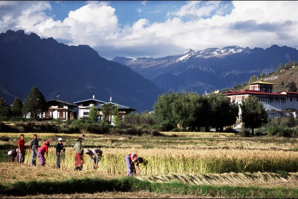 不丹 Uma by COMO, Paro, Bhutan Luxury resort (flight ∙ hotel ∙ package ∙ cruise ∙ private tour ∙ business ∙ M.I.C.E ∙ Luxury travel  ∙ Luxury holiday  ∙ Luxe World  ∙ 特色尊貴包團 ∙  商務旅遊 ∙  自由行套票 ∙滑雪  ∙ 溫泉 ∙ 品味假期 ∙ 品味遊)