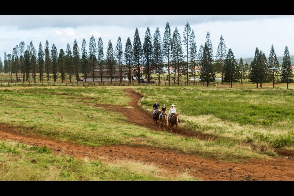 Four Seasons Resort Lana’i Hawaii USA美國夏威夷 夏蕙姨去夏威夷 (flight ∙ hotel ∙ package ∙ cruise ∙ private tour ∙ business ∙ M.I.C.E ∙ Luxe Travel ∙ Luxury travel  ∙ Luxury holiday  ∙ Luxe Tour  ∙ 特色尊貴包團 ∙  商務旅遊 ∙  自由行套票 ∙滑雪  ∙ 溫泉 ∙ 品味假期 ∙ 品味遊)