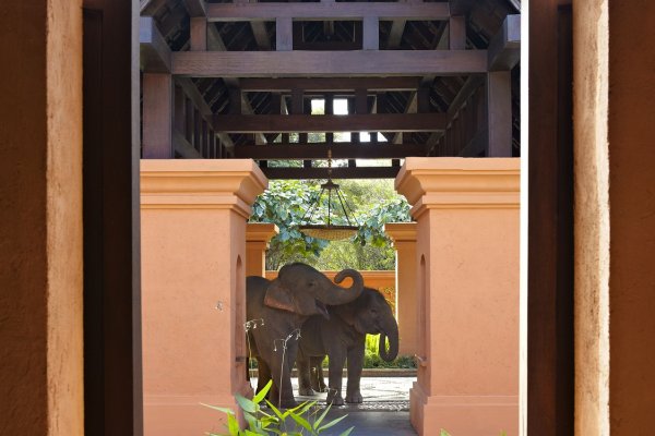 Anantara Golden Triangle Elephant Camp and Resort  - 清萊金三角象營安納塔拉度假村 - 泰國, 清萊  | 包團 |  豪華旅遊 |  Luxury Travel | Private Tours | Tailor Made Trips |  Luxe Travel (flight ∙ hotel ∙ package ∙ cruise ∙ private tour ∙ business ∙ M.I.C.E ∙ Luxe Travel ∙ Luxury travel  ∙ Luxury holiday  ∙ Luxe Tour  ∙ 特色尊貴包團 ∙  商務旅遊 ∙  自由行套票 ∙滑雪  ∙ 溫泉 ∙ 品味假期 ∙ 品味遊)