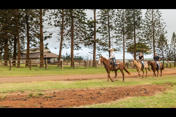 Four Seasons Resort Lana’i Hawaii USA美國夏威夷 夏蕙姨去夏威夷(flight ∙ hotel ∙ package ∙ cruise ∙ private tour ∙ business ∙ M.I.C.E ∙ Luxe Travel ∙ Luxury travel  ∙ Luxury holiday  ∙ Luxe Tour  ∙ 特色尊貴包團 ∙  商務旅遊 ∙  自由行套票 ∙滑雪  ∙ 溫泉 ∙ 品味假期 ∙ 品味遊)