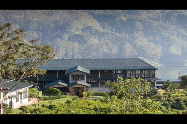 Tea Trail Sri Lanka斯里蘭卡茶園(Luxury travel  ∙ Luxury holiday  ∙ Luxe Tour  ∙ 特色尊貴包團 ∙  商務旅遊 ∙  自由行套票 ∙滑雪  ∙ 溫泉 ∙ 品味假期 ∙ 品味遊)