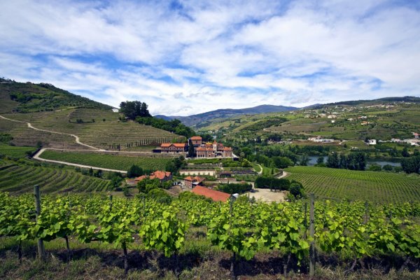 Six Senses Douro Valley, Porto  - 杜羅河谷六善酒店 | Six Senses | 六善