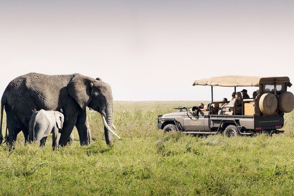 One nature Nyaruswiga Serengiti National Park Tanzania (flight ∙ hotel ∙ package ∙ cruise ∙ private tour ∙ business ∙ M.I.C.E ∙ Luxe Travel ∙ Luxury travel  ∙ Luxury holiday  ∙ Luxe Tour  ∙ 特色尊貴包團 ∙  商務旅遊 ∙  自由行套票 ∙滑雪  ∙ 溫泉 ∙ 品味假期 ∙ 品味遊)