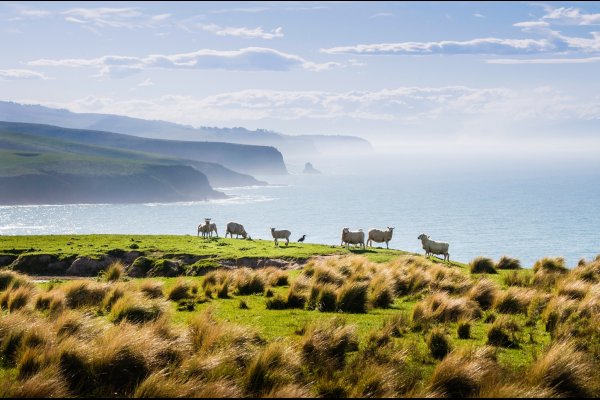 Annandale Luxury resort lodge New Zealand Glacier (flight ∙ hotel ∙ package ∙ cruise ∙ private tour ∙ business ∙ M.I.C.E ∙ Luxe Travel ∙ Luxury travel  ∙ Luxury holiday  ∙ Luxe Tour  ∙ 特色尊貴包團 ∙  商務旅遊 ∙  自由行套票 ∙滑雪  ∙ 溫泉 ∙ 品味假期 ∙ 品味遊)