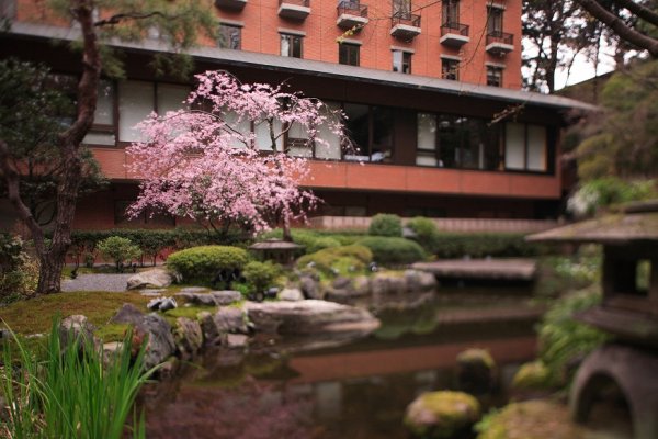 京都 Japanese garden