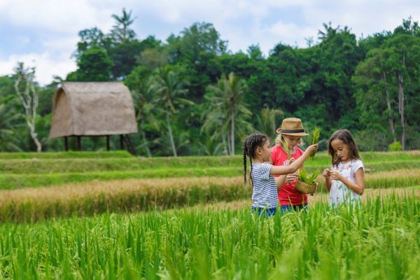 Mandapa, A Ritz-Carlton Reserve Bali Indonesia 印尼峇里島 (flight ∙ hotel ∙ package ∙ cruise ∙ private tour ∙ business ∙ M.I.C.E ∙ Luxe Travel ∙ Luxury travel  ∙ Luxury holiday  ∙ Luxe Tour  ∙ 特色尊貴包團 ∙  商務旅遊 ∙  自由行套票 ∙滑雪  ∙ 溫泉 ∙ 品味假期 ∙ 品味遊)