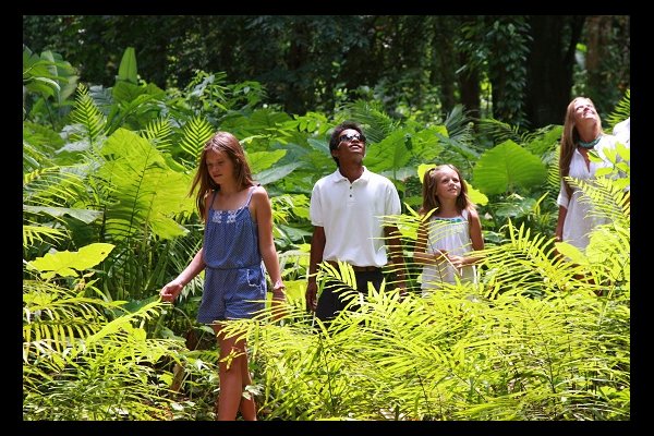 Soneva Kiri - 索尼娃奇瑞度假村 - 泰國, 沽島 | 包團 | 度身訂造 | 豪華旅遊 | Luxury Travel | Private Tours | Tailor Made Trips | Luxe Travel