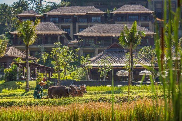 Mandapa, A Ritz-Carlton Reserve - 曼達帕麗思卡爾頓RESERVE - 印尼, 峇里島 | 包團 | 度身訂造 | 豪華旅遊 | Luxury Travel | Private Tours | Tailor Made Trips | Luxe Travel (flight ∙ hotel ∙ package ∙ cruise ∙ private tour ∙ business ∙ M.I.C.E ∙ Luxe Travel ∙ Luxury travel  ∙ Luxury holiday  ∙ Luxe Tour  ∙ 特色尊貴包團 ∙  商務旅遊 ∙  自由行套票 ∙滑雪  ∙ 溫泉 ∙ 品味假期 ∙ 品味遊)