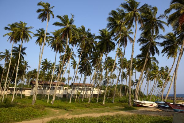 Amanwella, 安縵蔚瀾 , 斯里蘭卡, Aman Resorts, 安縵, 包團, 度身訂造, 豪華旅遊, 奢華旅遊, Luxury Travel, Private Tours, Tailor Made Trips, Luxe Travel, 品味遊