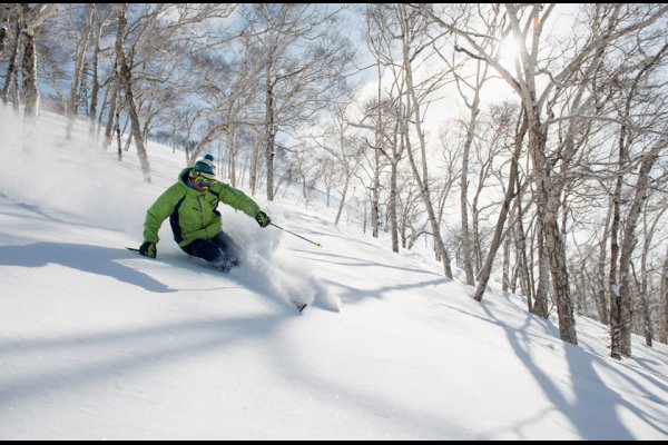 Kasara - 卡薩拉雪谷村聯排別墅 - 日本, 二世古 | 北海道旅遊