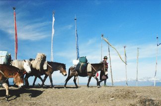 Uma by COMO - Bhutan, Paro