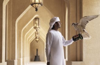 Qasr Al Sarab Desert Resort - United Arab Emirates, Abu Dhabi