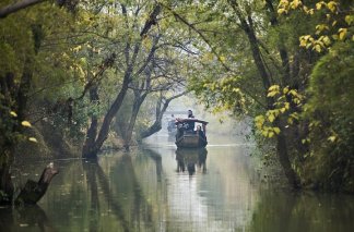 Banyan Tree Hangzhou - 杭州西溪悅榕莊 - 中國, 杭州