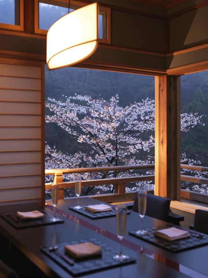 2019 Forecast of Sakura | Luxe Travel Japan, Cherry Blossom, Forecast, Sakura, Luxe Travel