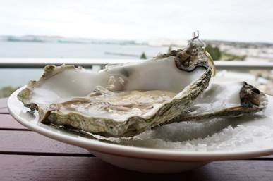 Taste fresh:遠赴南澳Adelaide與鯊魚潛水+品嚐重量級皇帝蟹、生蠔王!| 經濟通 ET Net 財經生活網 Taste fresh:遠赴南澳Adelaide與鯊魚潛水+品嚐重量級皇帝蟹、生蠔王!| 經濟通 ET Net 財經生活網