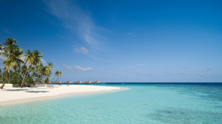 It's Time to Plan For Your Sun & Beach Holiday in Maldives with Great Offers! | Luxe Travel Park Hyatt Huvadhoo, Maldives, sun and beach, villa, resort, marine life