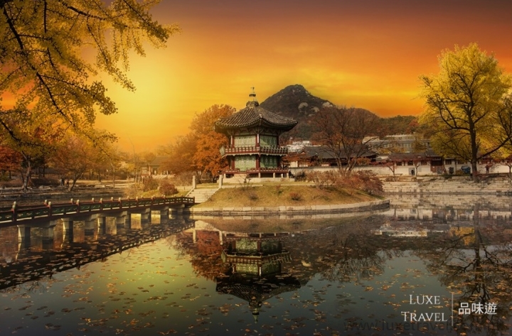Foliage Forecast of Korea 韓國紅葉預測 韓國, 紅葉, 賞楓假期,首爾, 釜山, 濟州, 私人日賞團, 品味遊, 私人包團