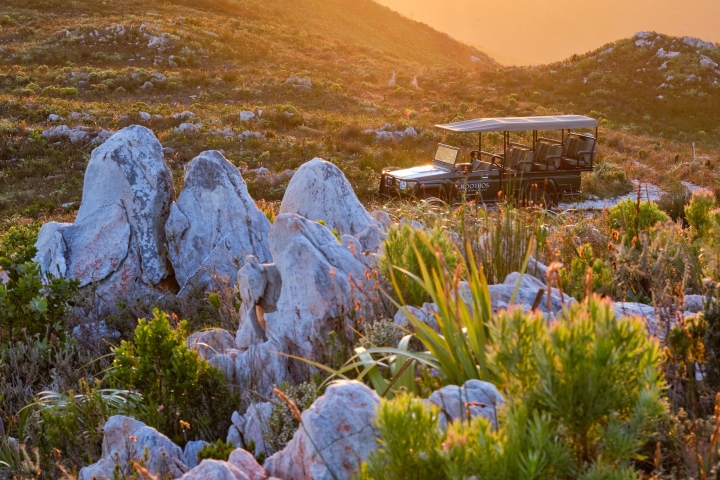 An Unforgettable African Getaway | Enjoy breakfast + lunch + dinner + unique experiences : horse riding +  flower safari + seasonal whale watching + beach picnics & more! @ Grootbos Private Reserve, Luxe Travel Hong Kong