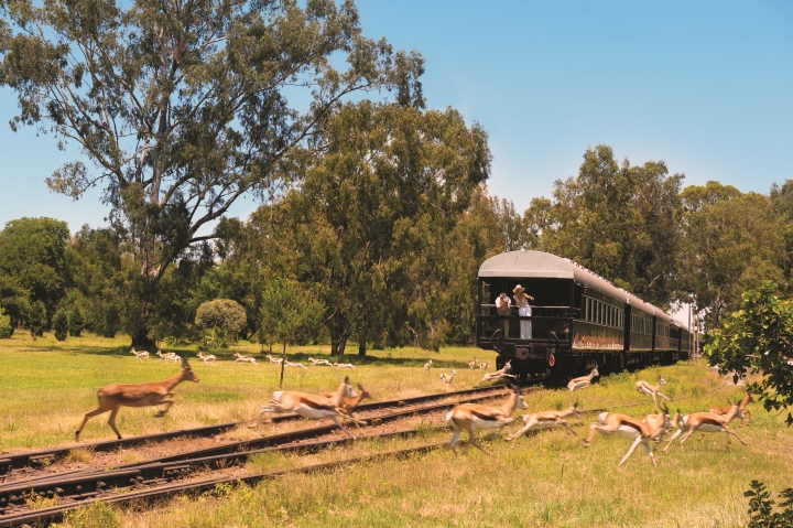 South Africa, Safari, Sabi Sand,  Kruger National Park,Grootbos,Cape Town,  Rovos Rail