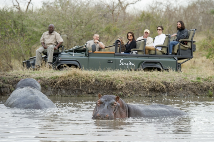 Singita Castelton, hippo