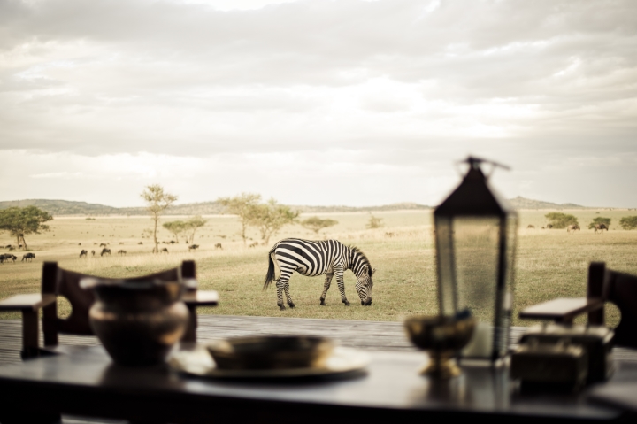 Singita, South Africa,  The great migration