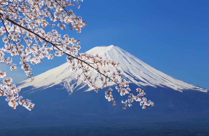 Kanto, Japan, Sakura, Mount Fuji, Hakone, Shuzennji,Atami, Shimoda, Kawazu, Private Tour, Luxe Travel