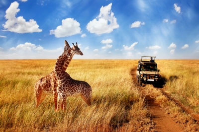 It's ok to dream! Journeys Beyond Fresh Air - Tanzania & Rwanda (10D8N) | Exclusive Offer | Valid For Travel Until 18th Dec 2020 It's ok to dream! Journeys Beyond Fresh Air - Tanzania & Rwanda (10D8N) | Exclusive Offer | Valid For Travel Until 18th Dec 2020
