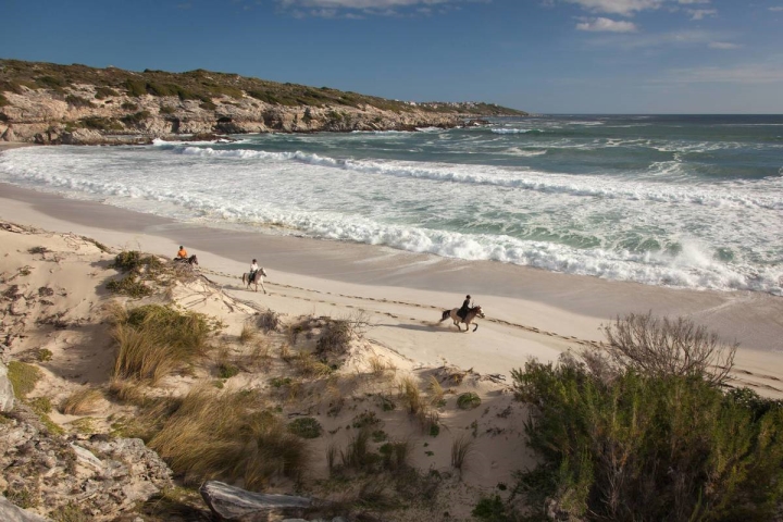 Grootbos Private Reserve, South Africa, Luxe Travel Hong Kong Grootbos Private Reserve, South Africa, Luxe Travel Hong Kong