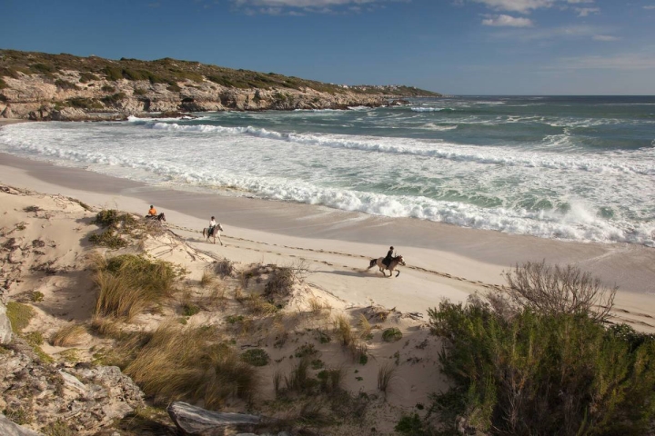 Grootbos Private Reserve, South Africa, Luxe Travel Hong Kong