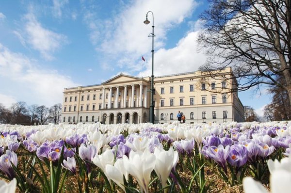 Amsterdam Oslo Warsaw阿姆斯特丹 奧斯陸 華沙 (flight ∙ hotel ∙ package ∙ cruise ∙ private tour ∙ business ∙ M.I.C.E ∙ Luxe Travel ∙ Luxury travel ∙ Luxury holiday ∙ Luxe Tour ∙ 特色尊貴包團 ∙ 商務旅遊 ∙ 自由行套票 ∙滑雪 ∙ 溫泉 ∙ 品味假期 ∙ 品味遊)