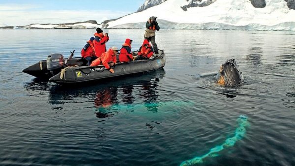 Lindblad Expeditions Antarctica南極船  (flight ∙ hotel ∙ package ∙ cruise ∙ private tour ∙ business ∙ M.I.C.E ∙ Luxe Travel ∙ Luxury travel  ∙ Luxury holiday  ∙ Luxe Tour  ∙ 特色尊貴包團 ∙  商務旅遊 ∙  自由行套票 ∙滑雪  ∙ 溫泉 ∙ 品味假期 ∙ 品味遊)