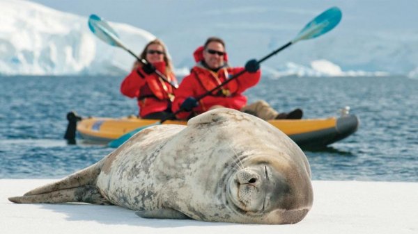 Lindblad Expeditions Antarctica南極船  (flight ∙ hotel ∙ package ∙ cruise ∙ private tour ∙ business ∙ M.I.C.E ∙ Luxe Travel ∙ Luxury travel  ∙ Luxury holiday  ∙ Luxe Tour  ∙ 特色尊貴包團 ∙  商務旅遊 ∙  自由行套票 ∙滑雪  ∙ 溫泉 ∙ 品味假期 ∙ 品味遊)