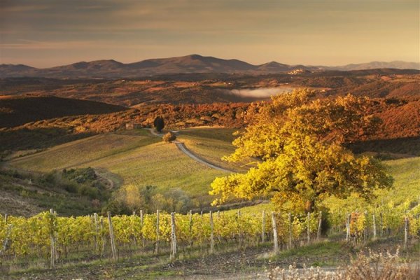 Wine region Tuscany Italy Rosewood 酒莊意大利(flight ∙ hotel ∙ package ∙ cruise ∙ private tour ∙ business ∙ M.I.C.E ∙ Luxe Travel ∙ Luxury travel  ∙ Luxury holiday  ∙ Luxe Tour  ∙ 特色尊貴包團 ∙  商務旅遊 ∙  自由行套票 ∙滑雪  ∙ 溫泉 ∙ 品味假期 ∙ 品味遊)