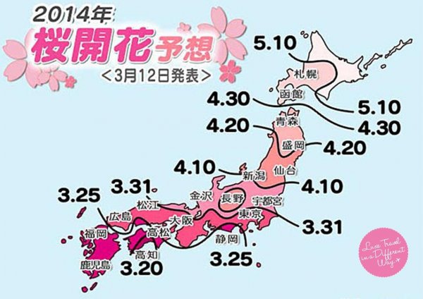 (最新) 2014年日本樱花开花预想