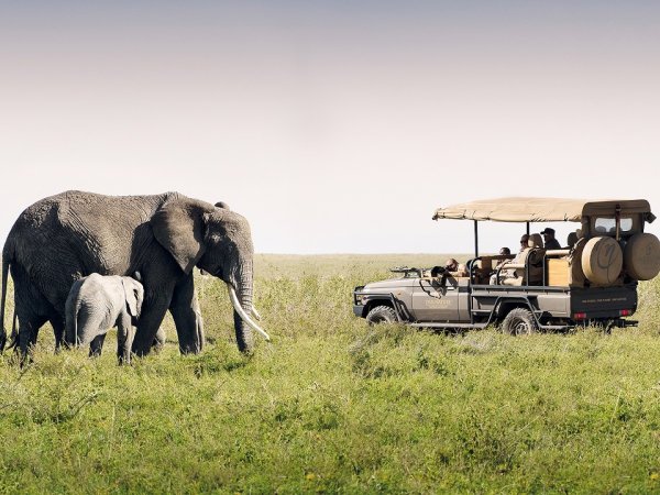 One nature Nyaruswiga Serengiti National Park Tanzania (flight ∙ hotel ∙ package ∙ cruise ∙ private tour ∙ business ∙ M.I.C.E ∙ Luxe Travel ∙ Luxury travel ∙ Luxury holiday ∙ Luxe Tour ∙ 特色尊貴包團 ∙ 商務旅遊 ∙ 自由行套票 ∙滑雪 ∙ 溫泉 ∙ 品味假期 ∙ 品味遊)