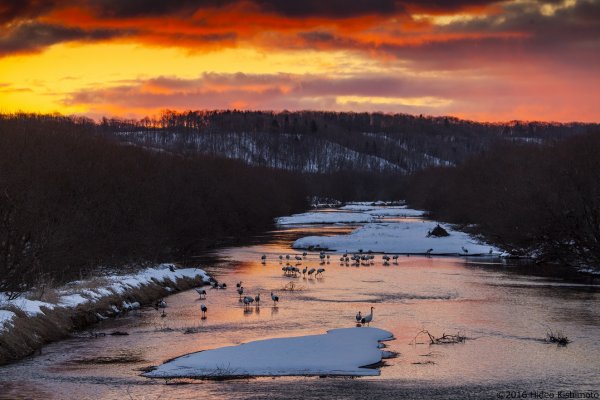 Eastern Hokkaido Winter photography tour品味冬日東北海道深度攝影 包團(flight ∙ hotel ∙ package ∙ cruise ∙ private tour ∙ business ∙ M.I.C.E ∙ Luxe Travel ∙ Luxury travel  ∙ Luxury holiday  ∙ Luxe Tour  ∙ 特色尊貴包團 ∙  商務旅遊 ∙  自由行套票 ∙滑雪  ∙ 溫泉 ∙ 品味假期 ∙ 品味遊)